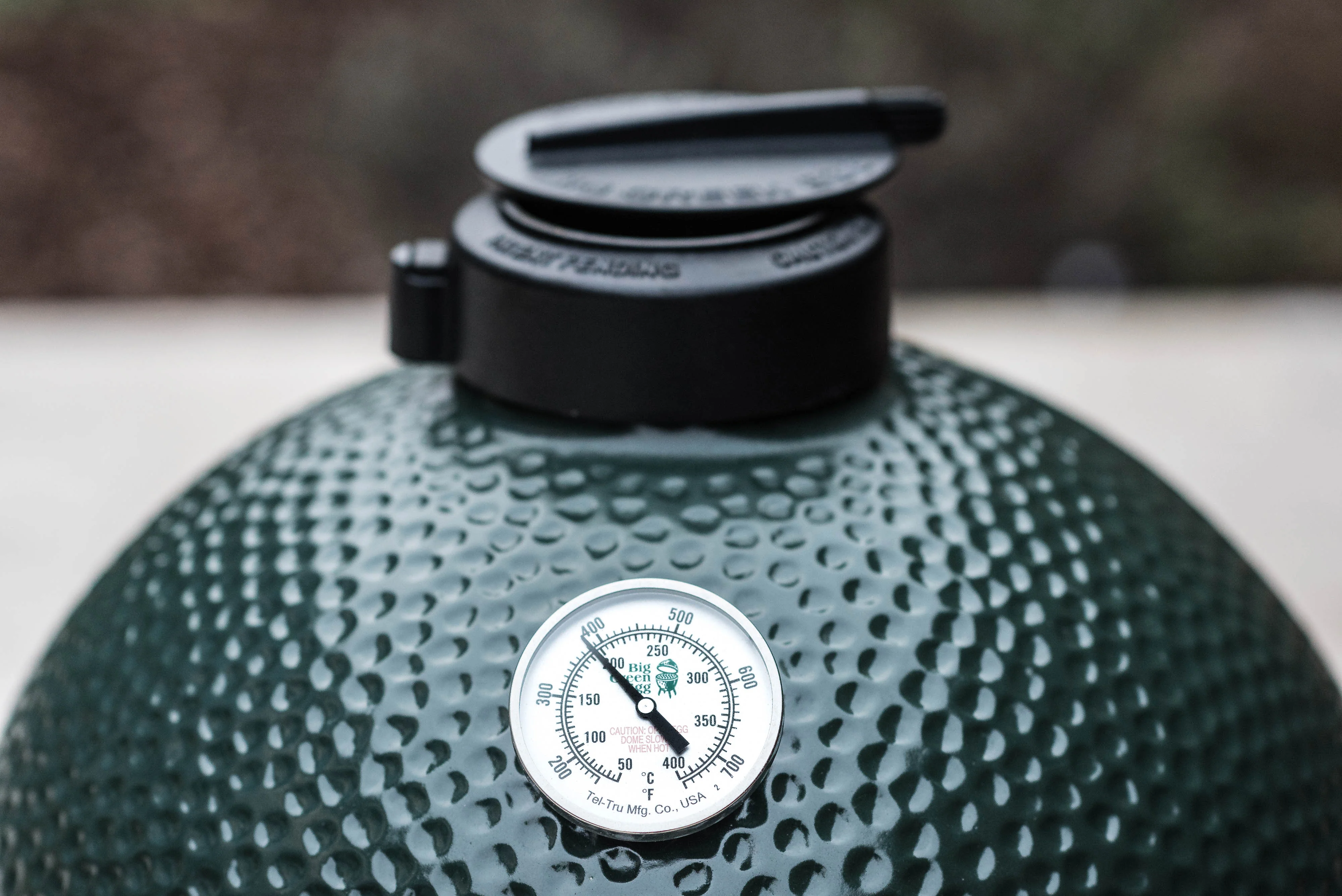 Big Green Egg Large - Barbecue a Carbone - Image 6