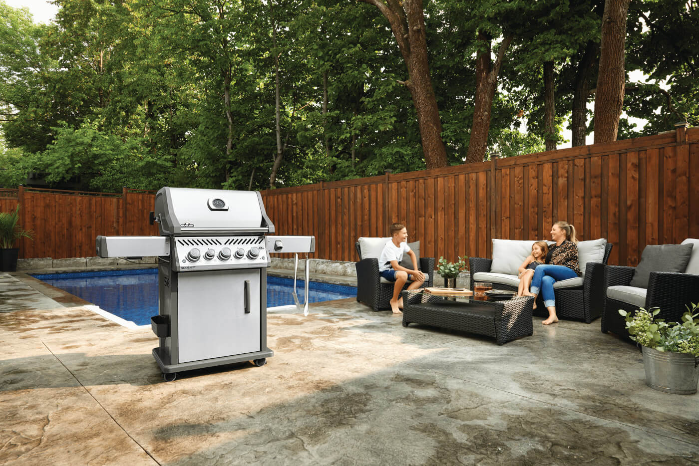 Napoleon Rogue RSE 425 RSIB - Barbecue a Gas - Image 4